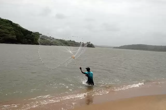 Four beautiful beaches of Goa, Must Visit!
