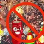 UP govt bans fire crackers in 13 districts, 8 of NCR