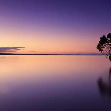 How to live a sustainable life and save our Nature?