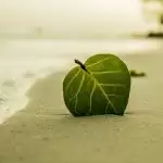 Why do you worry and hurry?
