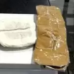Woman hides 2.41 kg gold in undergarment, arrested