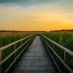 How to deal with your inner demons and overcome negativity?