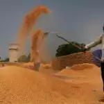 Africa may have to depend more on Indian rice as supplies from China remain static