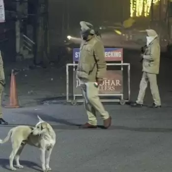 Night curfew imposed in all districts of Punjab
