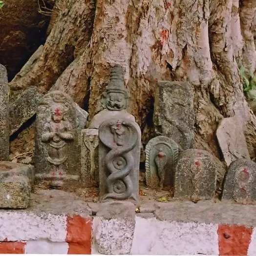 Awesome facts about Nag Panchami 2020 festival