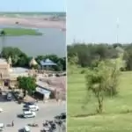 Rajasthan’s sacred groves under threat from rampant green development