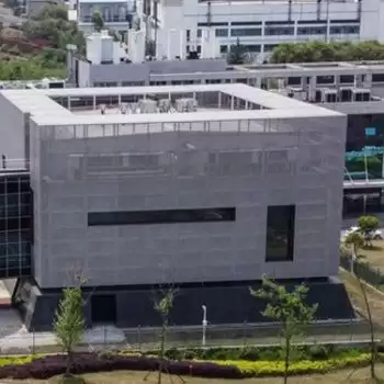 Corona virus spreads from animal, not from Wuhan lab: WHO