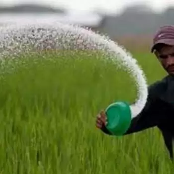 Government increases fertilizer subsidy by 140%