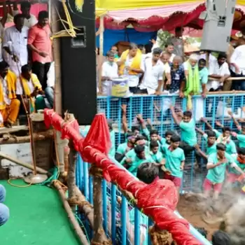 Rahul attends Jallikattu in poll-bound Tamil Nadu