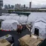 Preparations for burial of bodies in New York parks
