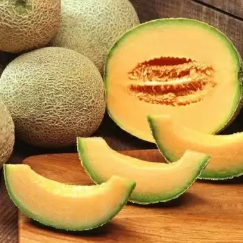 Benefits of eating Muskmelon or kharbuja in this season.