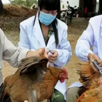 China diagnosed first human case of H10N3 bird flu