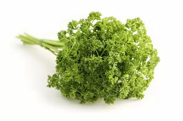 5 Winter Herbs That Boost Your Overall Health