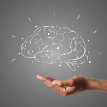 Foods That are Good for Your Brain Power
