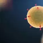 Solar light appears to have ‘powerful effect’ on killing coronavirus, says US official