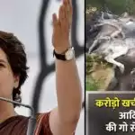Priyanka Vadra writes to Yogi expressing concern over cow deaths