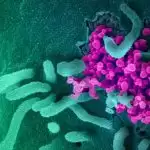 Know the 5 things about new coronavirus strain