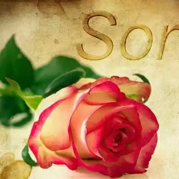 Forgiveness is the key to long-term relationships
