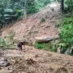 Over 18 Dead in Kerala Flood and Landslide