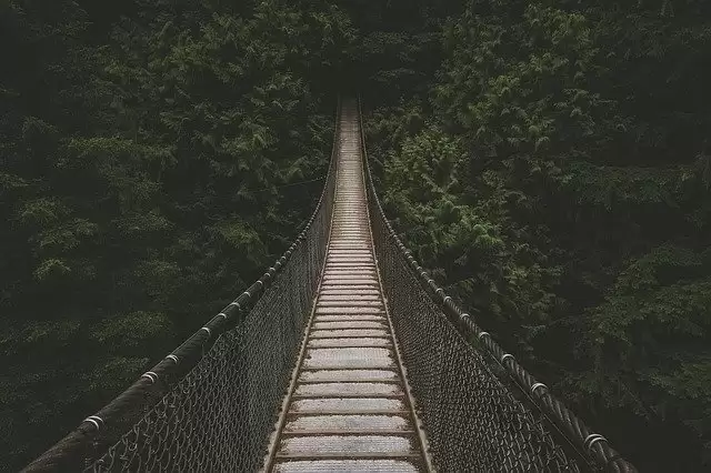 Hanging Bridges In India, You Must Visit Once