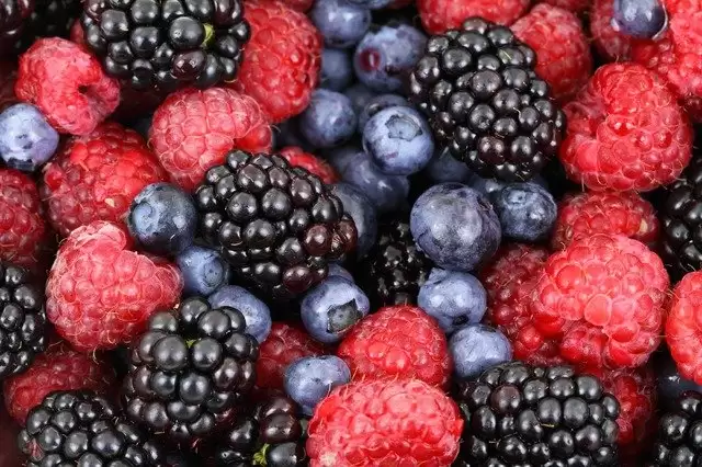 Winter Fruits To Eat During Pregnancy, Check it out!