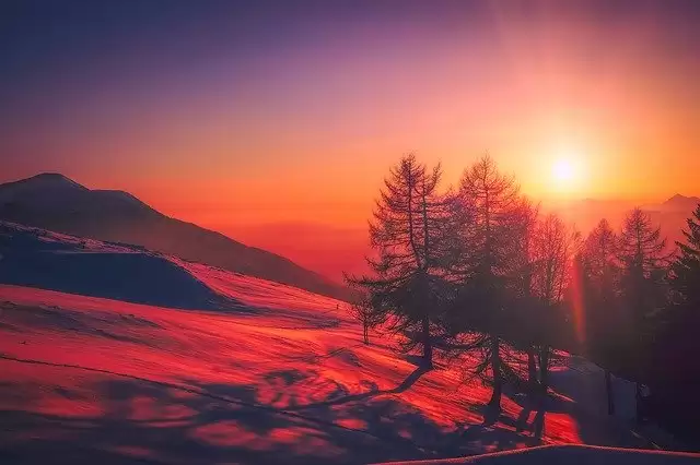 Amazing photographs to celebrate World Photography Day 2020