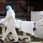 India’s COVID-19 count reaches 13,387