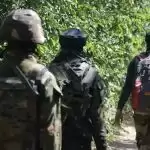 Two militants killed, civilian injured in Pulwama encounter