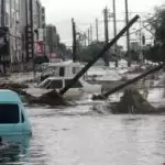 Now, a full picture of climate crisis: UN Environment head