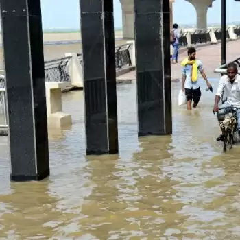 Ganga, Yamuna waters breach danger mark in Prayagraj