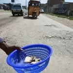 Worst global recession in a century amid pandemic: OECD