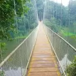 Hanging Bridges In India, You Must Visit Once