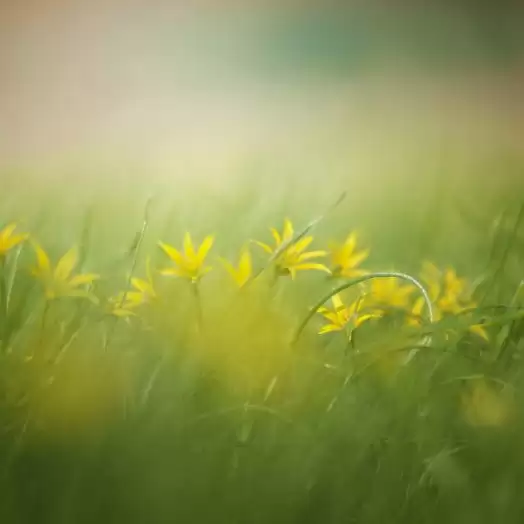 Benefits to Nature: Due to Lockdown in April mercury plummeted from 28 to 36 degrees.