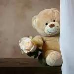 Teddy Day 2021: Wishes to Share with Your Soulmate.