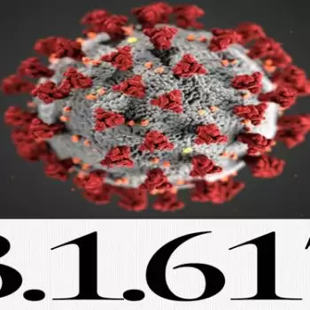 B.1.617 variants of Covid-19 are causing havoc in India: WHO