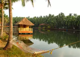 Visit Kerala’s Top Backwaters: Perfect Destination For Tourists