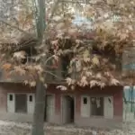 With no help from govt, Budgam village community reconstructs collapsed sub-health centre