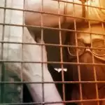 Arnab moved to Taloja Jail