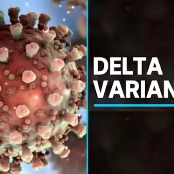 First death from Delta+ variant in Maharashtra, 80-year-old died in Ratnagiri