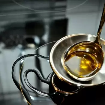 Cabinet Approves National Mission on Edible Oils