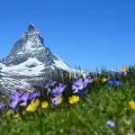 Switzerland has a message for travellers amid coronavirus lockdown