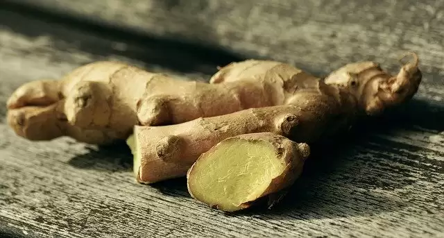 5 Winter Herbs That Boost Your Overall Health