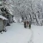 Hurriyat played a key role in pushing Kashmiri students into Pak medical colleges: J&K Police