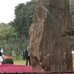 My grandmother is my inspiration: Rahul