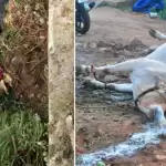 Visakhapatnam gas leaks: people scattered on the streets