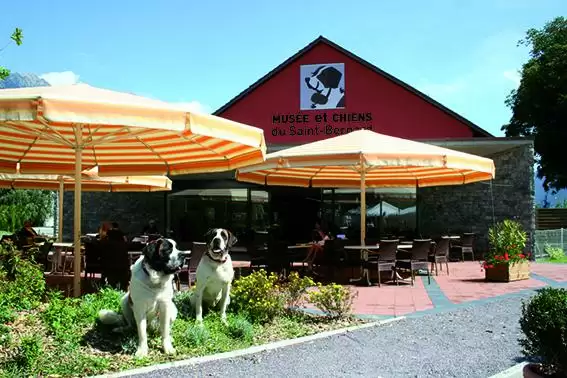 Famous Dog Museums Of The World.
