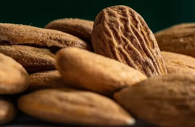 Foods That are Good for Your Brain Power