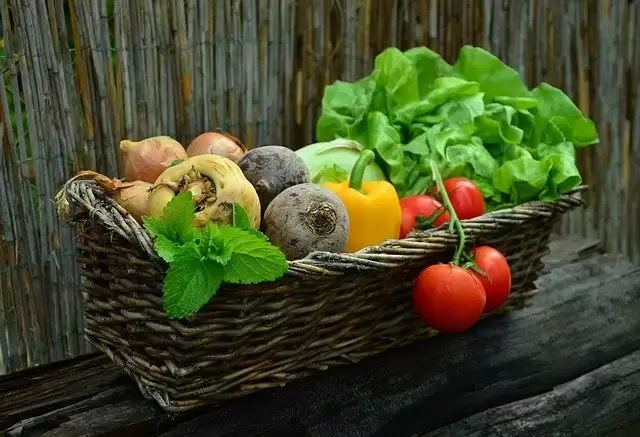 3 Food Items That are Safe for Diabetic Patients During Winter