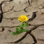 11 beautiful quotes to EMPOWER you in coronavirus lockdown
