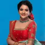 Actress VJ Chitra commits suicide